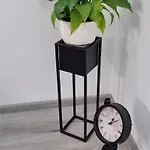 Pensiune Citadel Cluj-Napoca